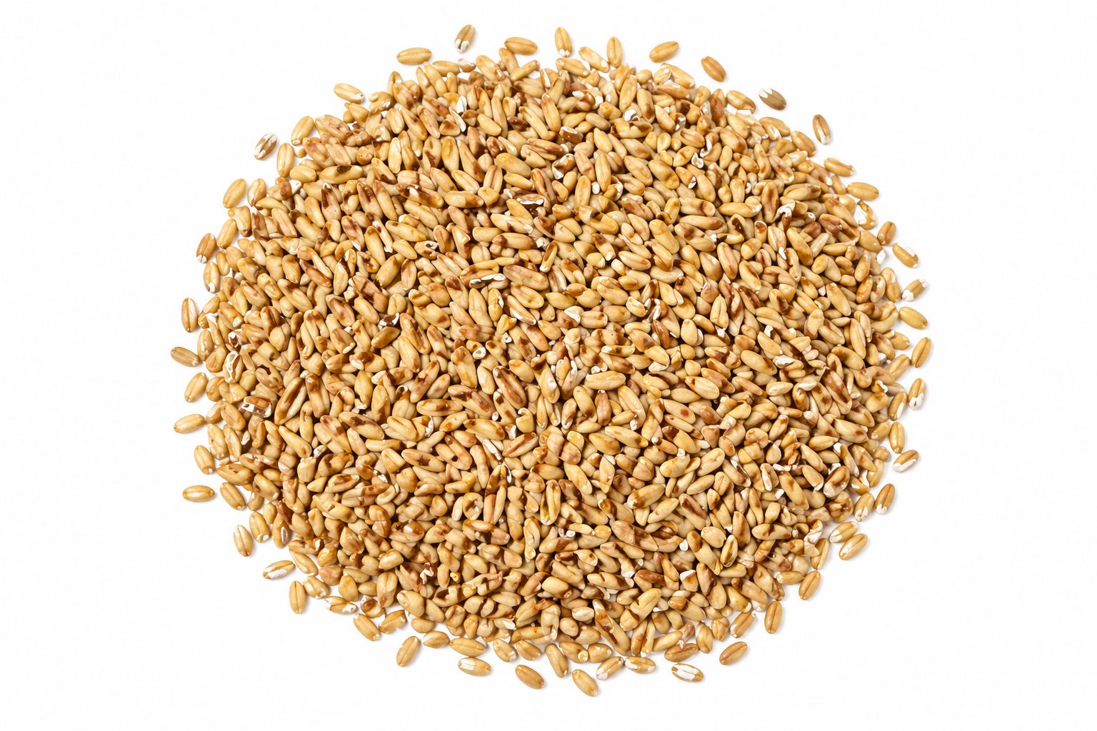 Oatsmeal